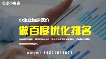 北京专业网站优化 服务电话