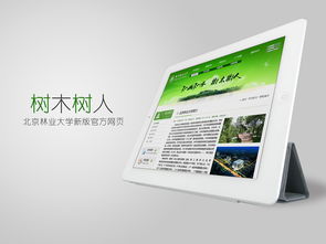 北京林业大学官方设计方案
